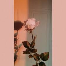 Daniela tamanu daniela 7 months ago download. Stream Vladuta Lupau Ce Bine Arata Fata By Alexandra Listen Online For Free On Soundcloud