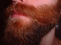 Jeff bridges (without) the dude just doesn't look the same with smooth cheeks. Men With Red Beards Red Beard Beard Beard No Mustache