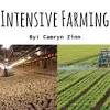 Common sense tells us that anyone who wants to have a future in agriculture, anywhere in the world, has to produce the best product they are capable of with the very least waste possible, and to protect the quality of their soil with good practices. 1