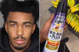 TikTok Prankster Faces Charges After Spraying Bug Killer