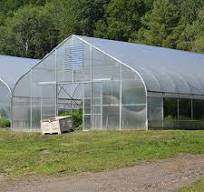 What Is a Sawtooth Greenhouse? Benefits & How It Works | Aurlant