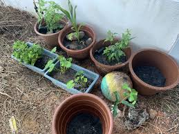 Pengalaman renovate rumah, pengalaman beli rumah kpr, pengalaman beli rumah limas, pengalaman mahasiswa stp bandung, pengalaman remaja hot, pengalaman remaja dioral, pengalaman remaja pria dimandilan suster, catatan ardi's family: Dennis Zill