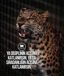 Asena𐱅𐰇𐰼𐰰 Karabakh Is Azer Adli Kullanicinin Motivasyon Panosundaki Pin 2020 Motivasyon Kosesi Motivasyon Ilham Veren Alintilar