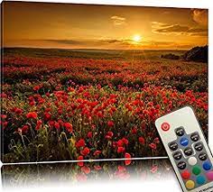 leuchtbild led leinwandbild mit einstellbarer leuchtfarbe bild mit beleuchtung hintergrundbeleuchtung mohnbluten leuchtbilder led leuchtbilder led bilder