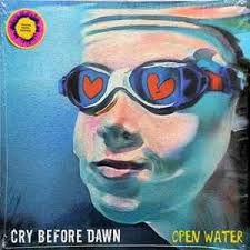 Ireland and Vinyl music