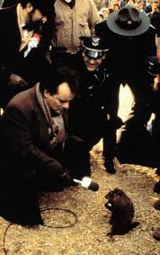 Groundhog Day: the perfect comedy, for ever | Groundhog Day | The Guardian