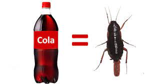 kolanin zararlari nelerdir bocek var youtube gida bocek