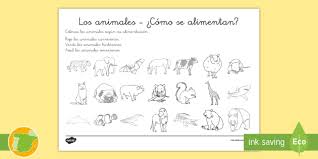 Ficha Animales Herbívoros Carnívoros Y Omnívoros Para Colorear