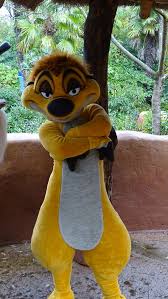 Nov 2015 Disneyland Paris Timon