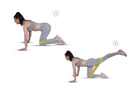 Maybe you would like to learn more about one of these? Po Donkey Kick Mit Kurzen Fitnessband Fit Carrots Premium Fitness Tools For Functional And Regeneration Training