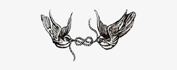 The tattoo is of a butterfly, species unknown (probably no species in particular, just fabricated), he wrote in an email to mtv news. Harry Styles Butterfly Tattoo Transparent Larry Stylinson Tattoos Transparent Free Transparent Png Download Pngkey
