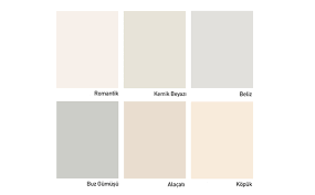 Ürün özelli̇kleri̇ · akrilik emülsiyon esaslı, dekoratif iç cephe son kat boya · silikonlu · su bazlı · i̇pek mat görünümlü · kokusuz, insan ve çevre dostudur · su. Dekorasyon Da Renk Uyumu Nasil Olmalidir Dekor Ekrani