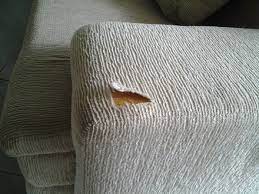 Risse Im Sofa Die Beste Methode Um Dein Sofa Zu Reparieren Comfort Works Blog Design Inspirationen