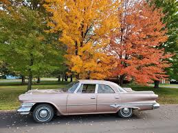 Image result for Cordovan 1969 Dart