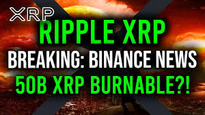 Webull | high heeled trader : Breaking Binance Stops Euro Deposits 50 Billion Xrp Could Be Burned If Sec Demanded The Xrp Coinmarketbag