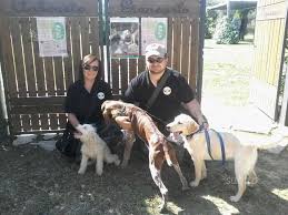 Risultati visionabili con prova diretta in campo di addestramento e in tartufaia. Scuola Di Addestramento Cani Da Tartufo E Vendita Tartufo Artificiale