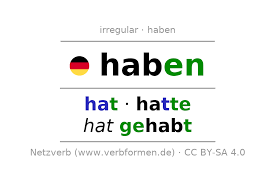Sein and tun are the only verbs in german that do not end with en, ln or with rn and that is why they form the partizip i differently. Haben Konjugation Prasens Perfekt Und Prateritum Diagram Quizlet