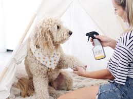 Maybe you would like to learn more about one of these? 3 Easy Steps For Fast Relief To Heal Summertime Canine Hot Spots Wilmington Star News Wilmington Nc