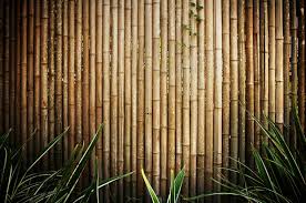 Victoriasmoon Painted Yellow Brown Bamboo Party Background Bamboo Photography Background Zy00171 Bamboo Fence Fence Fences Alternative