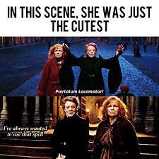 Harry Potter Memes On Instagram Aww Minerva Aww Harry Instagram Memes Minerva Harry Potter Puns Harry Potter Memes Harry Potter Memes Hilarious