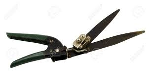 For further information and questions, schedule a call. Garden Hedge Trimmers Clippers Tool With Plastic Handle Isolated Stock Photo Picture And Royalty Free Image Image 18652527