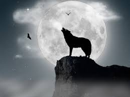 The howl at the moon is often used to show the power and mystery of the wolves. Song For The Moon 2 By F3nrirwolf On Deviantart