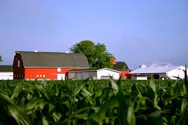 • emerging models for mobile insurance. Demand For Agricultural Insurance Expected To Grow