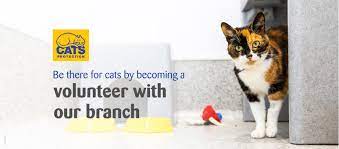 Cats Protection Newtown District Branch Home Facebook