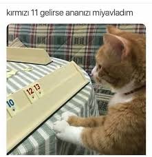 Sude Yuksel Adli Kullanicinin Komik Panosundaki Pin Kedi Esprileri Komik Komik Seyler