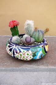 Because of the extremely dry environment they are grown in, the plants have adapted to hold and conserve water inside their stems. How To Create A Cactus Dish Garden Keep Your Finger Spine Free 9 Steps With Pictures Instructables