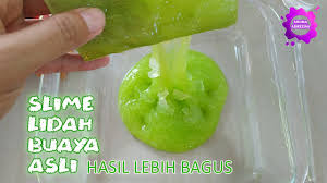 Cara Membuat Slime Dari Lidah Buaya Asli Youtube