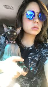 Sphynx cats as emotional expression base