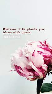 Frenchproverb Quoteoftheday Wordsofwisdom Femininity Motivation Positivity Inspiring Wherever Peonies Quote Bloom Quotes Blossom Quotes Flower Quotes