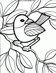 Birds of prey coloring page. Blue Bird Coloring Page Coloring Home