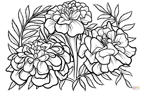 Pin On Images Personal Use Public Domain