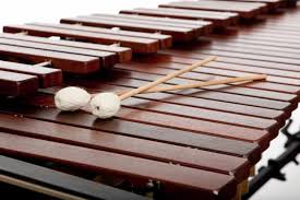 About 1% of these are other musical instruments & accessories. Differences Between Pitched Percussion Instruments Xylophone Glockenspiel Marimba Vibraphone Xylorimba Marimbaphone Sound Adventurer Exploring The World Of Music And Sound
