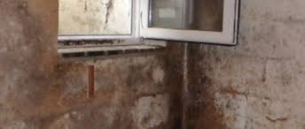 Schimmel im und hinterm schrank was tun. Uberraschung Beim Fruhjahrsputz Schimmel Hinter Dem Schrank Abdichtungssysteme Reiner Reutlingen