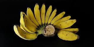 Yang mana, ketika kita mengkonsumsi satu buah pisang tersebut, perut sudah terasa kenyang, atau paling … Manfaat Pisang Kepok Dan Cara Mengolahnya