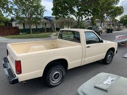 Image result for Tan 1991 Sonoma