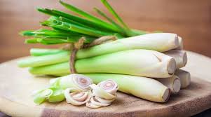 Turns out they give off an airborne substance called limonene that protects against flies lemongrass needs tons of sun, so most of us will have to enjoy it as an annual in the keep all garbage and recycling covered, and place cans far away from where you'll be. Does Lemongrass Repel Mosquitoes The Truth About Lemongrass