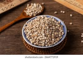 Image result for Coix