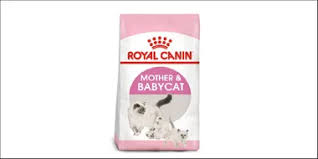 Kandungan omega kompleks nya bagus banget buat kesehatan bulu si meong. 15 Rekomendasi Makanan Untuk Kucing Menyusui 2021