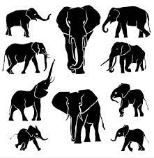 Silhouettes Of Elephants Vector Elephant Silhouette Silhouette Elephant