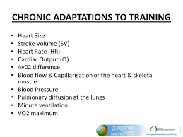 Physiological Responses And Adaptation To Exercise Ppt Video Online Download