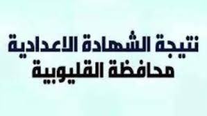 الدكتور أيمن مختار محافظ الدقهلية. G5xwwkiydu7ggm