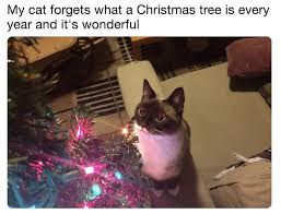Find the newest christmas cookie meme. 25 Wholesome Holiday Memes That Will Speak To You If You Love Christmas