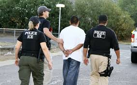 The jacksonville sheriff's office (jso) provides access to different types of records, including police reports, crime statistics, and inmate location. How To Look Up An Arrest Record Lexroll Com