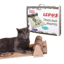 Lepus Kedi Tirmalama Rampasi Yikanabilen Antibakteriyel Hali