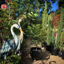 Check spelling or type a new query. Jacaranda Crafers Garden Centre Landscape Supplies Facebook