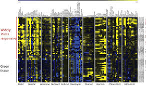 Comparison of transcriptional changes to chloroplast and mitochondrial  perturbations reveals common and specific responses in Ar